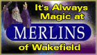 Merlins of Wakefield